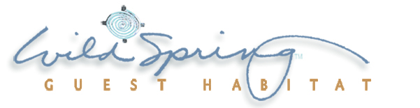 WildSpring logo