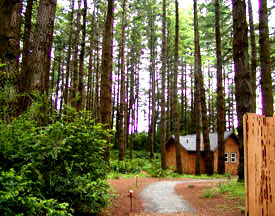 Photo of trail in cabin area forest