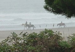 Photo of horseback riders at the shore