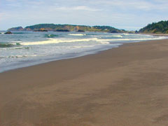 Photo of Port Orford beach looking north toward town