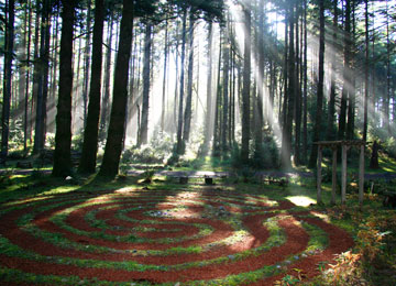 Photo WildSpring walking labyrinth in woods
