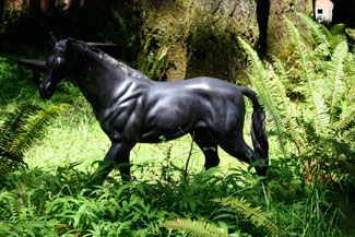 Photo bronze horse at WildSpring