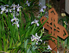 Photo of wild irises and Celtic cross